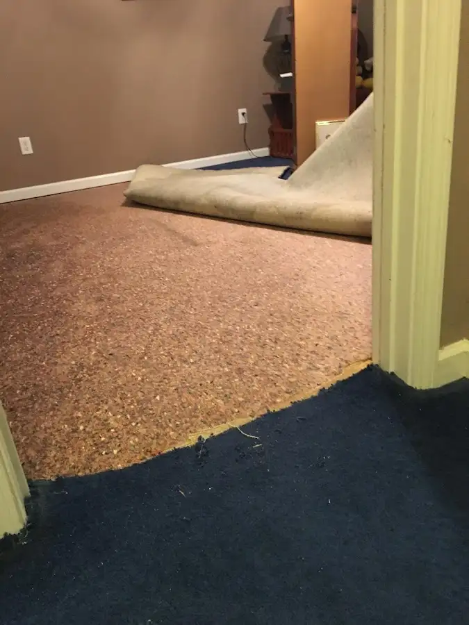 Carpet pad removal revealing water damage during Drying & Dehumidification in Kirtland