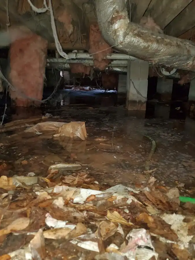 Crawl space flood assessment for Leak Detection & Repair in Kirtland